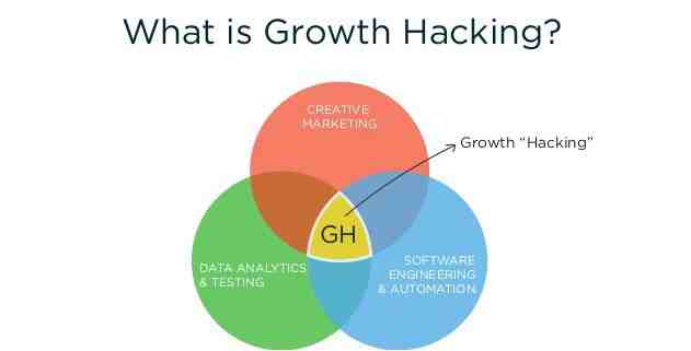 Pourquoi le growth hacking ?